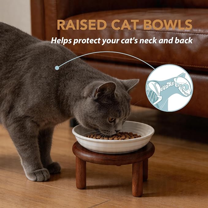 Havniva Elevated Cat Bowls, Ceramic Cat Bowl with Wood Stand, Wide Opening | 5.7” Raised Cat Food Bowls, Whisker Friendly Cat Dish, Anti-Slip Cat Water Bowls, Shallow Cat Bowls, Cat Food & Water Bowl