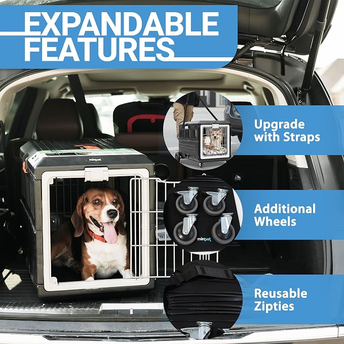 Pet Carrier & Crate, 26.4" L x 15.3" W x 18.8" H - Collapsible for Medium Cats and Dogs, Portable Hard Plastic Wall Kennel for Indoor/Outdoor Use