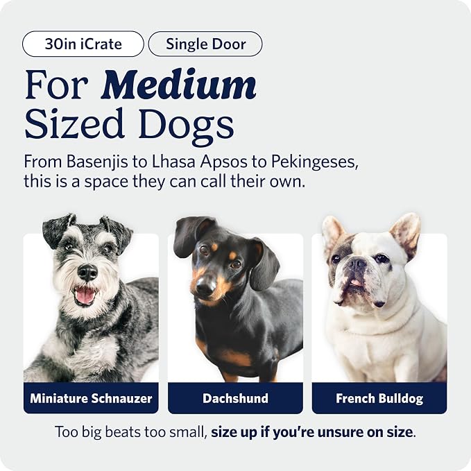 Midwest 30-Inch Single Door iCrate, for Medium Breeds, 21-40 lbs