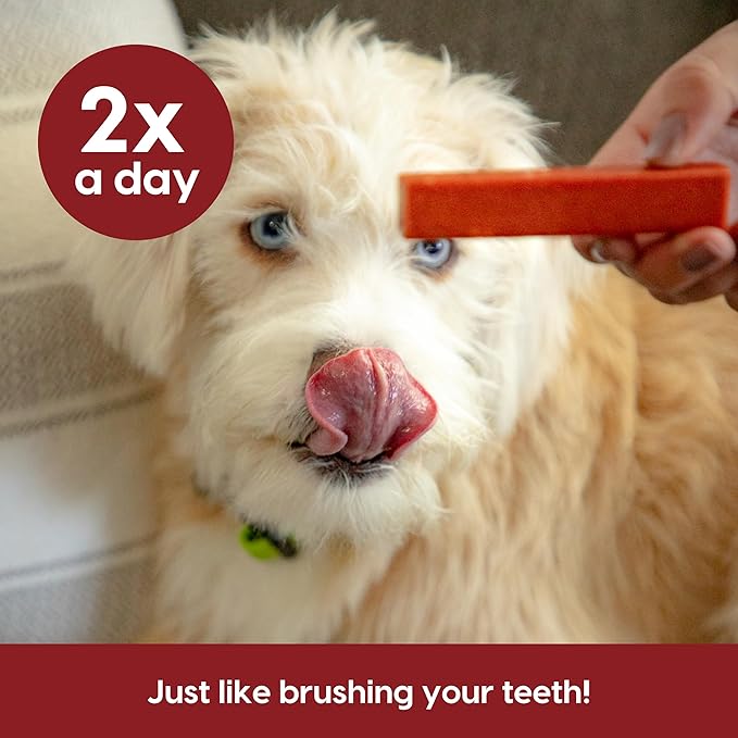 Ark Naturals Protection+ Brushless Toothpaste – Medium Breeds, 54oz Bag – Dog Dental Chew with Toothpaste Center – Prevent Plaque & Tartar and Freshen Breath with Dental Chews for Dogs