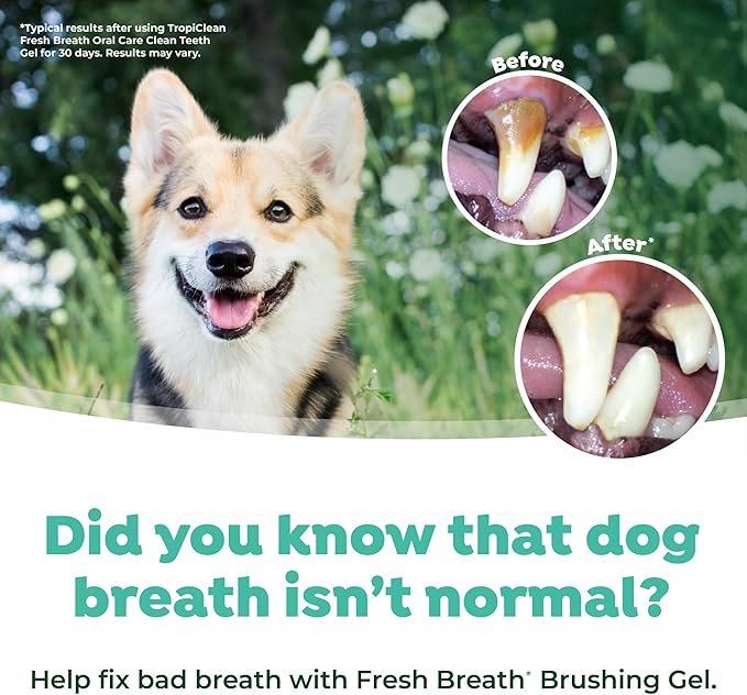 TropiClean Fresh Breath Dog Oral Care Kit | Complete Toothbrush and Toothpaste Set for Plaque & Tartar Control | Tooth Brushing Kit for Large Animals