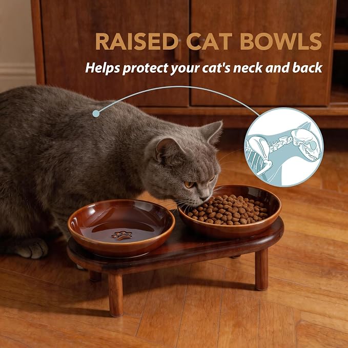 Havniva Elevated Cat Bowls, Ceramic Cat Bowl with Wood Stand, Wide Opening | 5.7” Raised Cat Food Bowls, Whisker Friendly Cat Dish, Anti-Slip Cat Water Bowls, Shallow Cat Bowls, Cat Food & Water Bowl