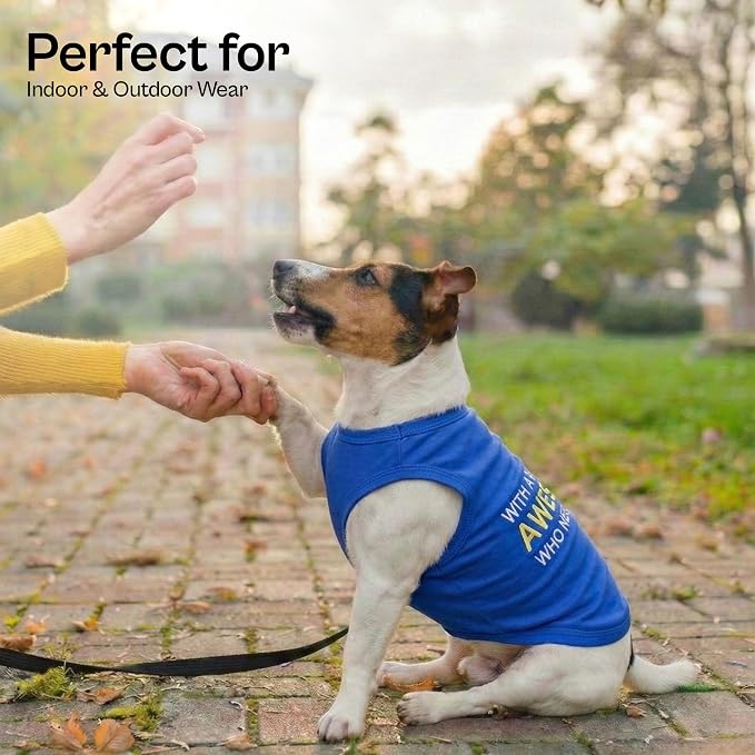 Parisian Pet Dog Tshirt - Embroidered “ Awesome “ Dog Shirt - Pure Cotton and Lightweight Dog Clothes - Blue Sleeveless Pet Tee Shirts - Cute Puppy Clothes - Pet Shirts for Large Dogs Boy - XL