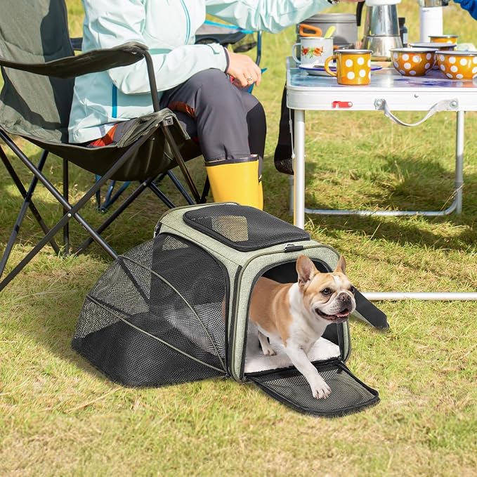 Petsfit Large Expandable Cat Carrier for Travel, Up to 18 lb | 19 x 12 x 12 in; roomy expandable space with a reinforced frame, locking zippers, interior safety tether and large pocket.