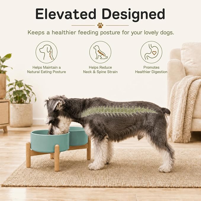 Havniva Ceramic Dog Bowls Elevated, Raised Dog Food Bowl for Small Dogs | 6.1” Elevated Dog Bowls, Non-Slip Wood Stand, Dog Food and Water Bowl Set, Dog Feeding Dish, Large Capacity Pet Water Bowl