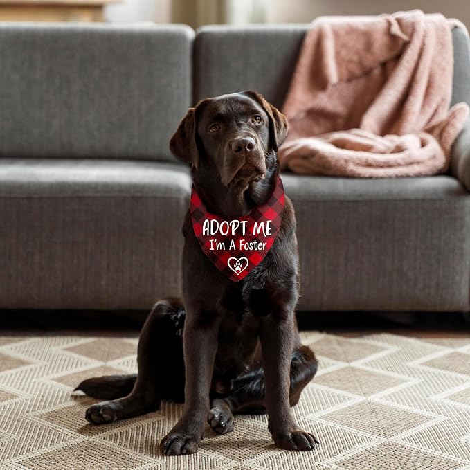 I'm a Foster Dog Bandana, New Puppy Announcement Gifts, Rescue Adopted Puppy Reveal Party Photo Prop, Red Plaid Pet Scarf for Medium Large Dogs