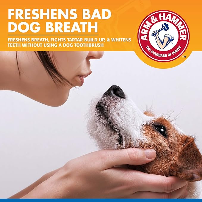 Arm & Hammer Tartar Control Dental Spray for Dogs, Mint Flavor Breath Freshener, Brushless Teeth Cleaning Oral Care with Baking Soda, Helps Reduce Plaque and Tartar Buildup, 4 Fl Oz - 24 Pack