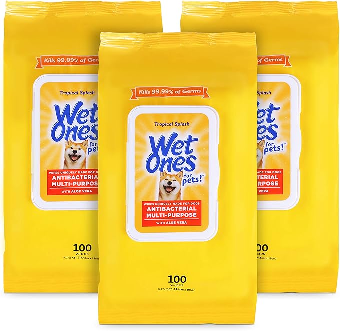 Wet Ones for Pets Multipurpose Dog Wipes with Aloe Vera, Tropical Splash Scent - Pet Bathing Wipes with Wet Lock Seal for Dog Paws and All-Over Use, 100 Count - 3 Pack