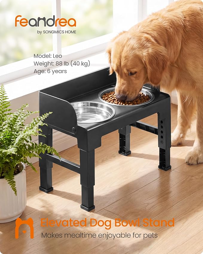 Feandrea Dog Bowls Elevated, Adjustable Height, Tilted Design | Raised Stand, 1 Slow Feeder, Two 304 Stainless Steel Bowls, Ink Black, BOXAL Collection UPRB104B101