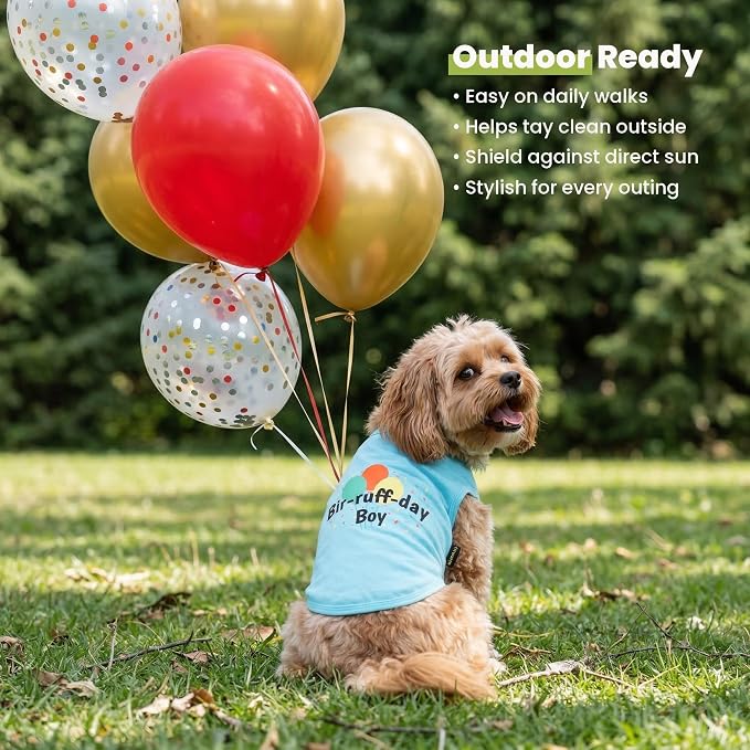 Fitwarm Birthday Boy Dog Shirt, Bir-Ruff-Day Boy Funny Dog Clothes for Small Dogs Boy, Pet Birthday Outfit, Cat Tshirt, 100% Breathable Cotton, Aqua Blue, Large