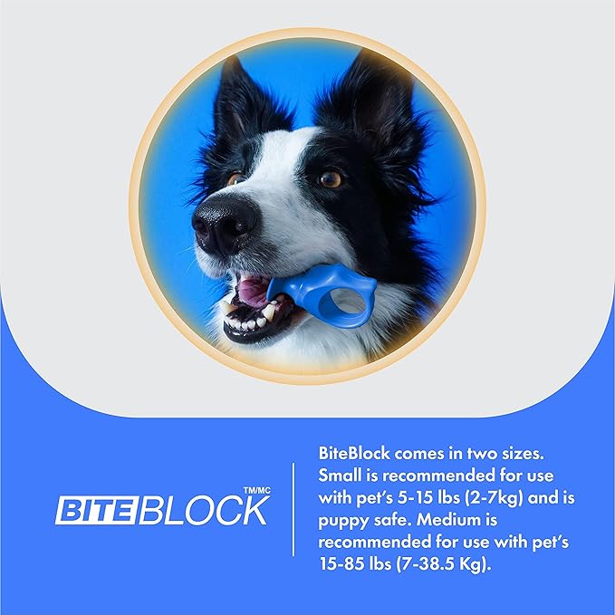 Paw Ready Pet Toothbrushing Assistant for Puppies' Dogs and Cats Allows You to Brush Your pet’s Teeth Without Constantly Worrying About Getting Bitten. (Blue, Small)