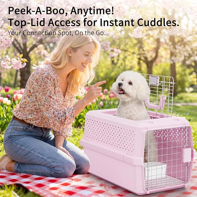 22" Hard Pet Carrier: Travel Kennel for Cats & Small Dogs | Strong Metal Locking Door / Ventilated Side Panels / 22" Cozy Interior / Lightweight Structure / Top Carry Handle