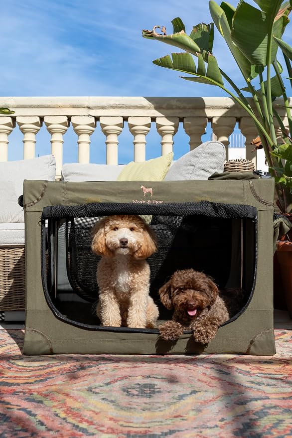 Noah & Paw Collapsible Dog Crate 30 Inches, Large Dog Crate for Large Medium Breeds, Travel Kennel for Car, Including Pet Mat for Pet Cage, 2 Storage Pockets, Handbag, 10mm Locking Zipper 30*21*21