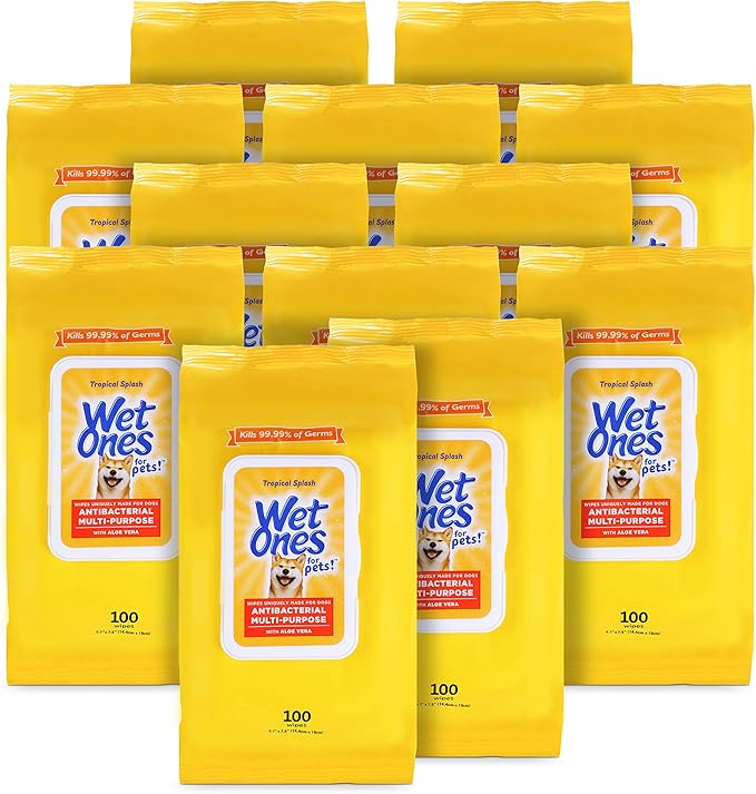 Wet Ones for Pets Multipurpose Dog Wipes with Aloe Vera, Tropical Splash Scent - Pet Bathing Wipes with Wet Lock Seal for Dog Paws and All-Over Use, 100 Count - 12 Pack