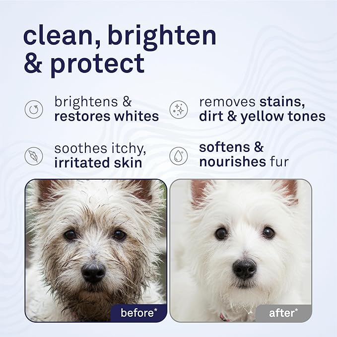 Petpost | Dog Whitening Shampoo with Coconut Oil & Aloe. Brightens White & Light Coats, Moisturizes Skin. Watermelon Scent. 8 oz