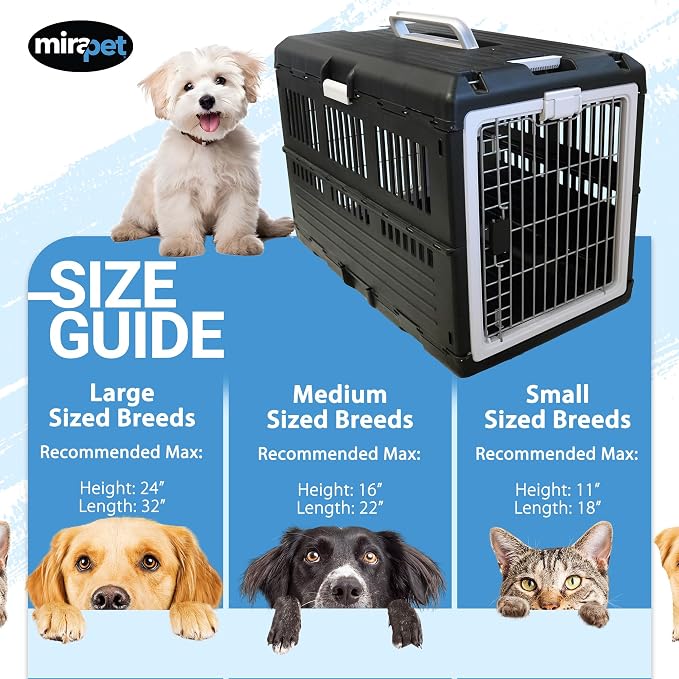 Collapsible Pet Carrier for Large Dogs & Cats, 35"L x 21"W x 27"H | Hard-Sided Crate Walls, 360-Degree Ventilation, Tool-Free Snap Assembly, Folds Flat to 5.5 In, for Travel & Storage
