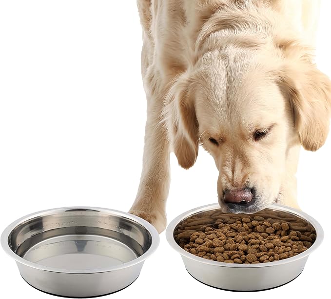 Set of 2 Stainless Steel Dog Bowls - 64oz/8 Cups Food and Water Bowls for Dogs and Cats - Non Slip Metal Pet Dishes for Medium to Large Sized Pets - Puppy Essentials by PETMAKER