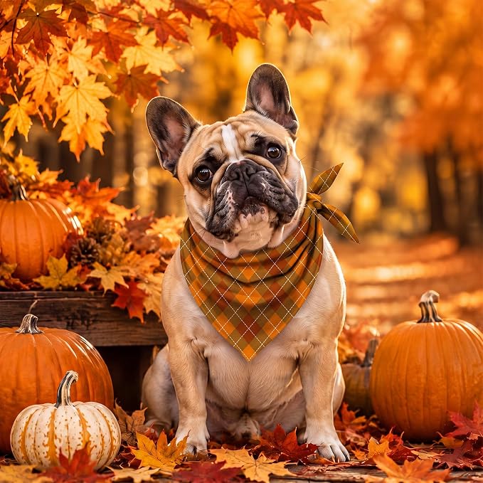 50 Pcs Fall Plaid Dog Bandanas Bulk Autumn Gingham Check Pattern | Triangle Kerchief Bibs Scarf Set for Pets Harvest Party Costume Photo Props Accessories, 25 Styles, 25.6 x 17.7 x 17.7 Inch