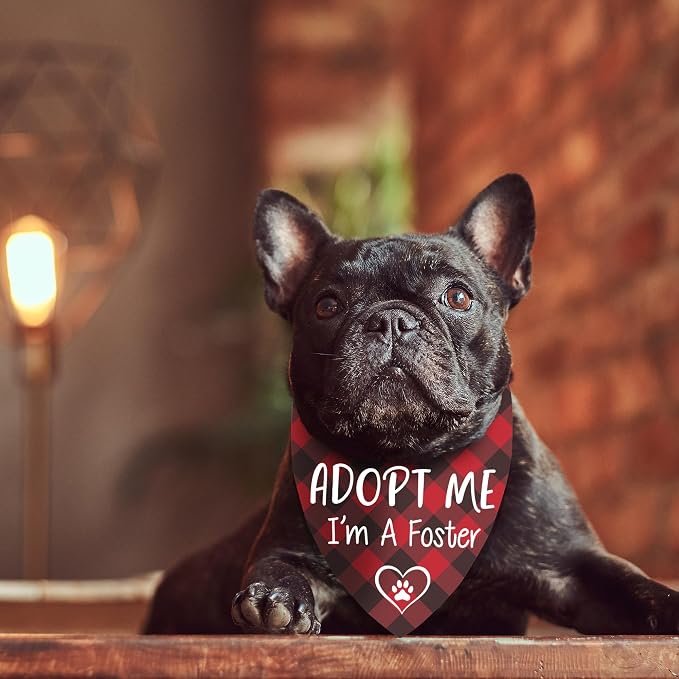 I'm a Foster Dog Bandana, New Puppy Announcement Gifts, Rescue Adopted Puppy Reveal Party Photo Prop, Red Plaid Pet Scarf for Medium Large Dogs