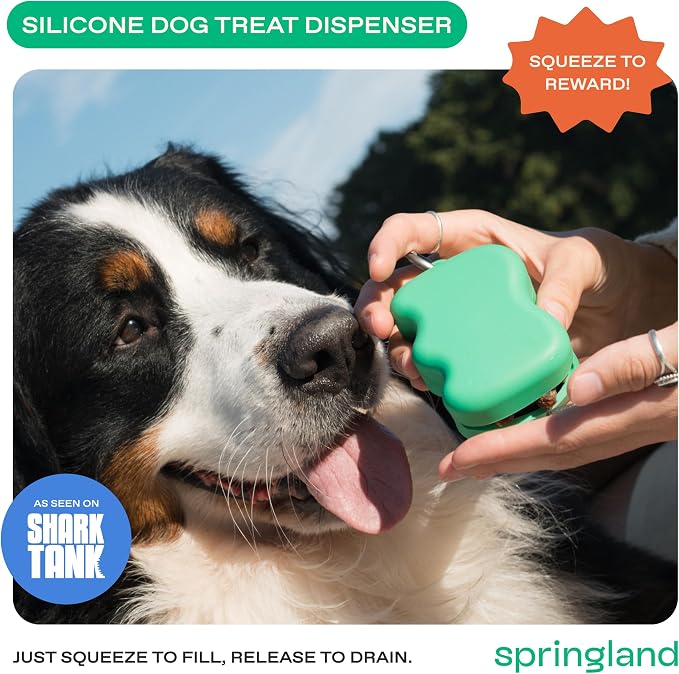 Springland Silicone Dog Training Treat Pouch for Leash, Green | One-hand squeeze dispenser, food-grade silicone, BPA-free, carabiner included, easy-fill holder for rewards on the go