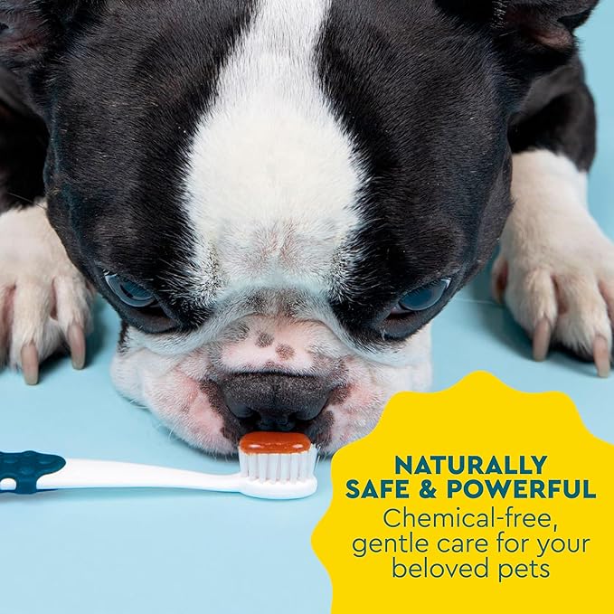 RADIUS Canine Pet Toothpaste, Cinnamon Sweet Potato, 3 oz, Non-Toxic Toothpaste for Dogs, Designed to Clean Teeth, Help Prevent Tartar, & Remove Plaque, Xylitol Free, Pack of 2