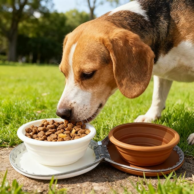 Zegcohjave Collapsible Dog Bowls,Travel Dog Bowl, Dog Water Bowl,Cat Bowl,Portable Pet Bowl, Suitable for Travel, Camping, and Hiking(Brown and Light Yellow)