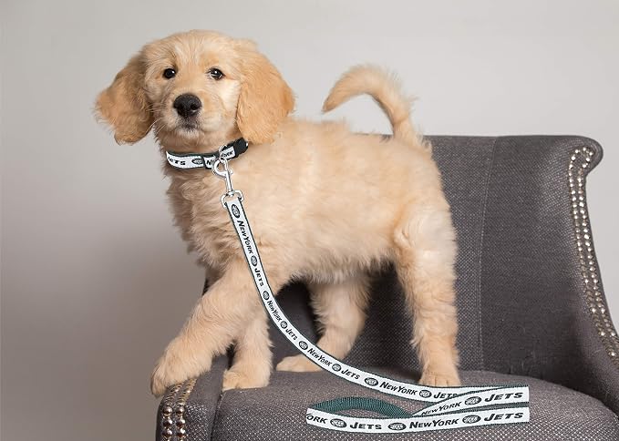 New York Jets Satin Leash