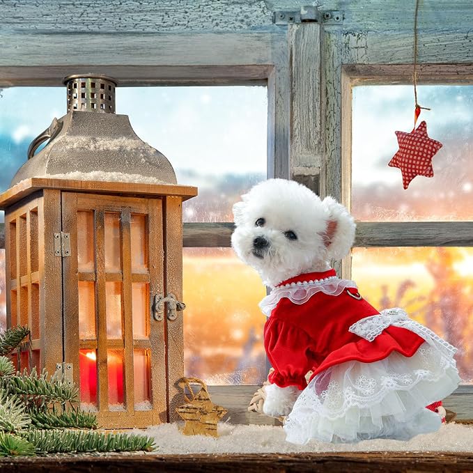 FLAdorepet Dog Christmas Costume Outfits,Red Velvet Small Dog Bowknot Pearl Dress Tutu Skirt, Winter Cat Clothes Pet Apparel(Red Bow, X-Large)
