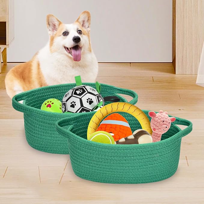 ABenkle Small Woven Easter Basket with Handle, 12x8x5 inches, Durable Decorative Gift Basket Nursery Storage Organizer for Baby Showers Holidays, Gift Wrap Ready with Ribbon