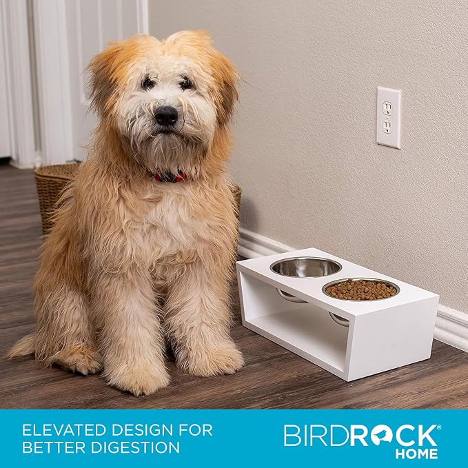 INTERNET'S BEST Modern Elevated Pet Feeder - Double Raised Stand w/Stainless Steel Bowls - Dog Food & Water Holder - Suitable for Medium Breeds - Pet Feeding Tray for Dogs, Cats - 2 Bowls - White