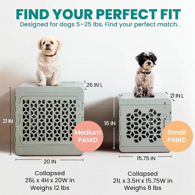 PAWD Collapsible Puppy and Dog Crate - Stylish Pet Kennel - Safe Indoor Kennel- Lightweight, Compact & Portable for Travel - Small White