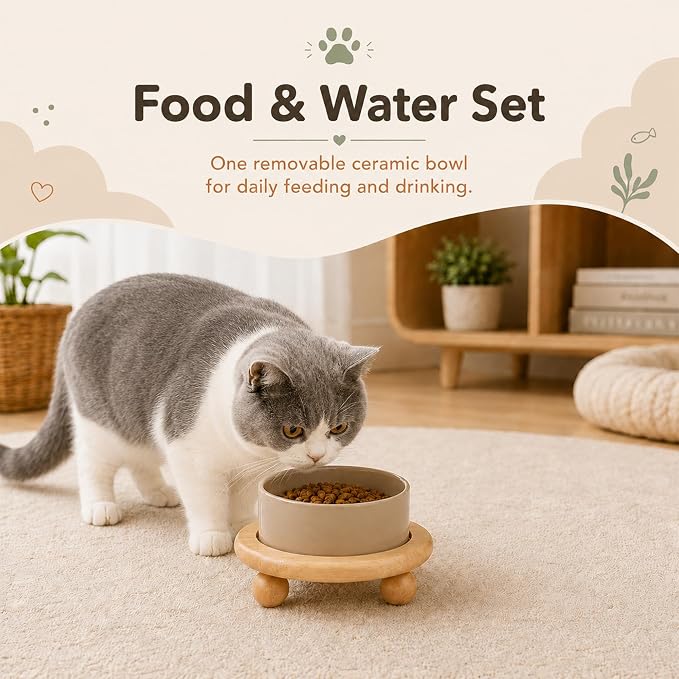 Havniva Raised Cat Bowl 5.1” Elevated Ceramic Cat Food and Water Bowl | Cat Bowls Elevated, Whisker Friendly Cat Bowl, Non-Slip Wood Stand, Food-Grade Ceramic, Wide Opening, Dishwasher Safe