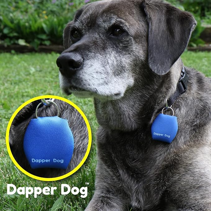Dapper Dog - Dog Tag Silencer with Tag Ring (Blue)