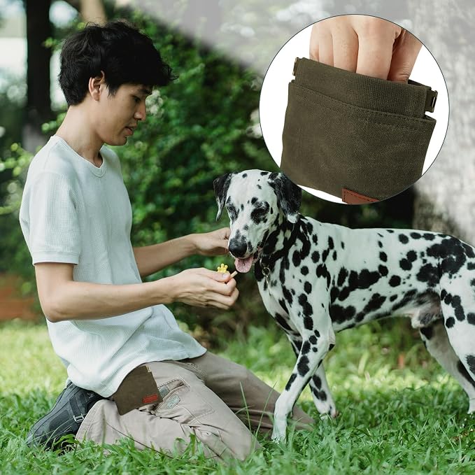 1 Pcs Pocket Pet Training Pouch,Dog Treat Pouch (Olive drab) | For Portable Pet Dog Walking Bag, Travel or Outdoor Use