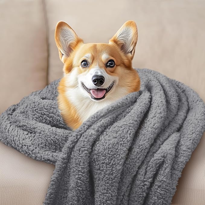 Luciphia 1 Pack 3 Calming Dog Blanket Fluffy Premium Fleece Pet Blankets Soft Sherpa Throw for Dogs Puppy Cat Grey/Beige/HazeBlue Medium (30" x20") | Fluffy Throw Blanket Washeble for Crate Bed Couch Indoor. Cozy Pet Blanket, Puppy Essentials Dog gift,...