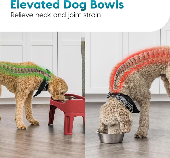 IRIS USA Elevated Dog Bowls, Dual Height 4.63" or 12.25" Made in USA, Black | Includes 2 Stainless Steel Bowls (64oz), Spill Guard, Height Adjustable, Non-Slip Feeder, Helps Reduce Neck Strain
