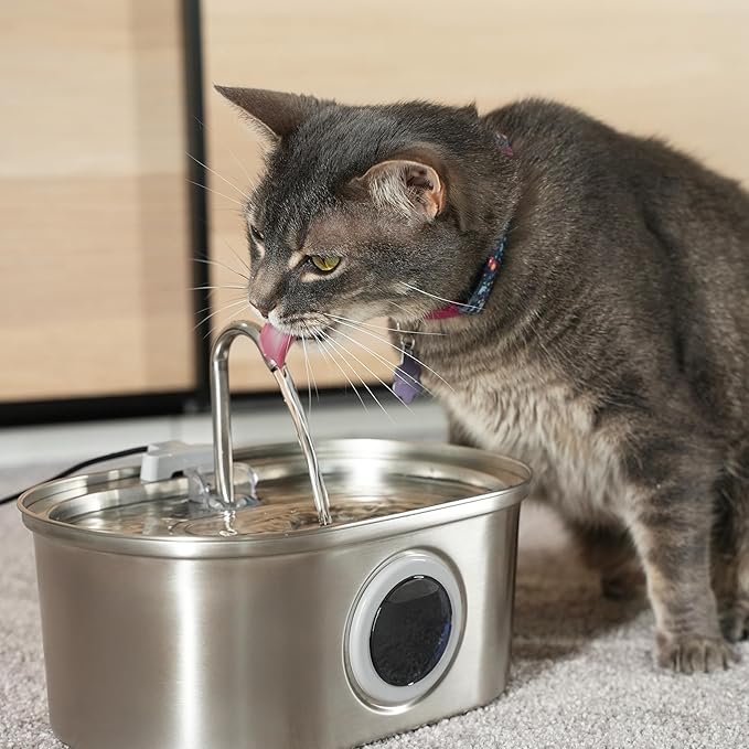 PawsPik SS-01 Stainless Steel Faucet-Design Cat Fountain, 108.2 oz.