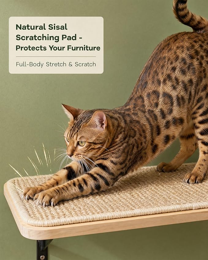 2PCS Cat Wall Shelves with Scratching Mat, 16.6x9.7 Inch Solid Pine Wood Wall Mounted Kitten Floating Shelf, Window Perch Hammock, Cats Wall Furniture for Cats Sleeping, Playing, Climbing