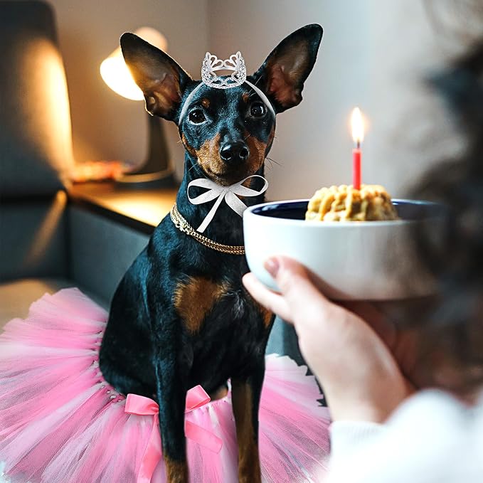 2 Pcs Dog Crown Headband Dog Tutu Dress Set Crystal Rhinestone Tiara Crown Tutu Skirt Pet Dress Costume for Puppy Birthday Party Wedding Photo Prop Costume(Small,Rose Red, White)