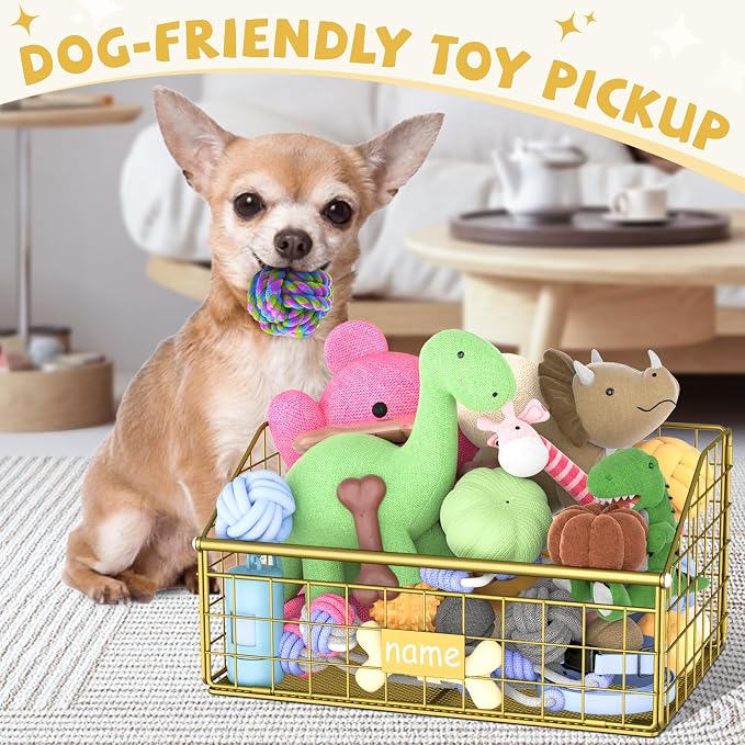 Kaiferty Indestructible Dog Toy basket, Small Toy Box for Dogs, Pet Toy Bin Dog Metal Basket for Toys, Toy Storage Organizer, Cat Toy Box for Living Room Area(Gold)