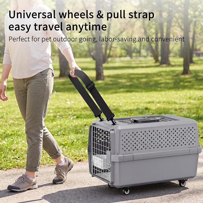 Hard-Sided Elevated Carrier: Rolling Pet Crate Ventilated 25 lbs | Smooth-Rolling Wheels & Pull Strap / Top Access Door / Spacious Interior / 360° Ventilation / Includes Feeding Bowl