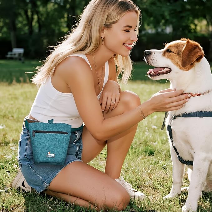 Dog Travel Bag for Pet Kit for Supplies with 2 Food Storage Containers 2 Collapsible Bowls 1 Feeding Mat 1 Dog Treat Pouch 7-Piece Set Perfect Road Trips Camping Weekend (Teal)