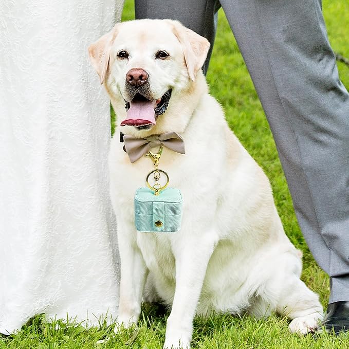 Wedding Ring Bearer Pillows Box for Dog Collar, PU Leather Travel Mini Ring Holder Pouch with Keychain Clip& Buckle Closure, Bridesmaid Gifts Jewelry Storage Case for Women Girls(Light blue)