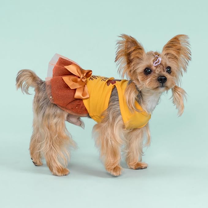 Fitwarm Gobble 'til You Wobble Dog Dress, Funny Thanksgiving Outfit for Small Dogs Girl, Festive Pet Clothes, Yellow, Orange, XS
