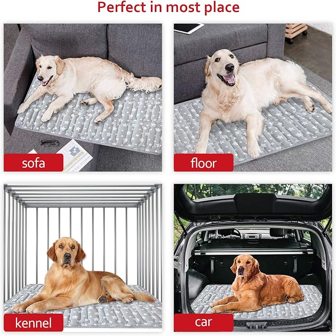 Dog Crate Pad Mat (42" X 28"), Soft Dog Bed Mat with Cute Prints | Personalized Crate Pad, Anti-Slip Bottom, Machine Washable Kennel Pad