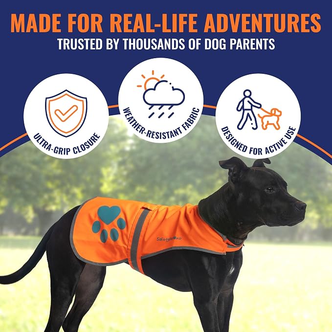 Blaze Orange Dog Vest. Reflective High Visibility in Hunting & Wooded Areas