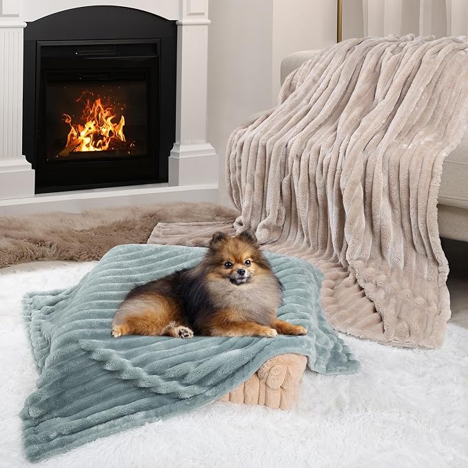 Waterproof Pet Blanket for Large Dogs & Cats - Reversible Calming Plush, Washable Furniture Cover for Couch, Bed, Car Seat, Blocks Leaks, Stains & Pet Fur (Green, 60"x80")