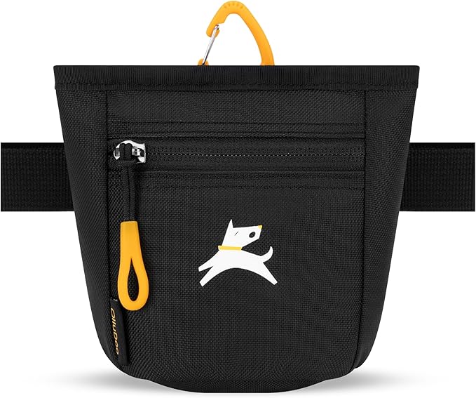 OllyDog, Goodie Treat Bag, Dog Treat Training Pouch | Magnetic Closure | 3 Ways to Wear | Hands-Free Waist Belt | Water-Resistant Recycled Vegan Fabric (Raven S'25)