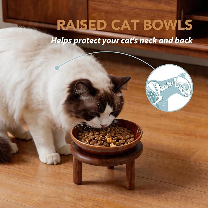 Havniva Elevated Cat Bowls, Ceramic Cat Bowl with Wood Stand, Wide Opening | 5.7” Raised Cat Food Bowls, Whisker Friendly Cat Dish, Anti-Slip Cat Water Bowls, Shallow Cat Bowls, Cat Food & Water Bowl