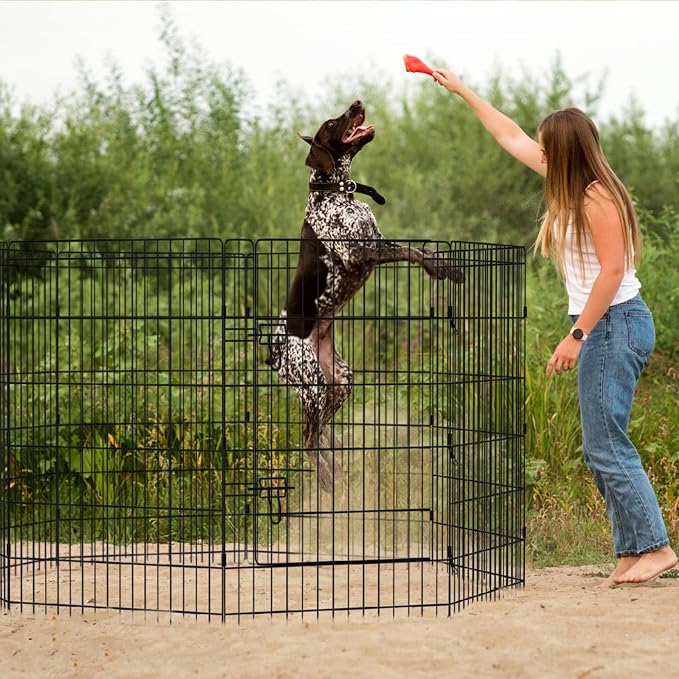 Peekaboo Dog Playpen 36 Inch, 8 Panel Metal Pet Fence with Top Cover | 36 Inch 8 Panel Foldable Rustproof Metal Dog Playpen with Octagonal Top Cover